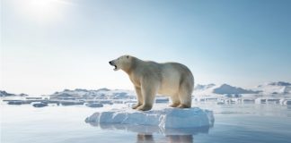 Klimakrise: Warum nicht auf die Ressource Schule zurückgreifen – und handeln?