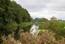 Obduktion bestätigt Augenschein: Totes Kind bei Güstrow war Gewalt ausgesetzt