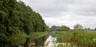 Obduktion bestätigt Augenschein: Totes Kind bei Güstrow war Gewalt ausgesetzt