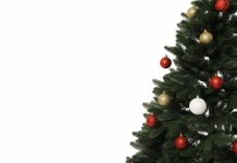 Gärtner stellt eigenmächtig Weihnachtsbaum in Kita-Gelände auf – Hausfriedensbruch