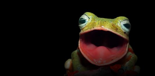 Biologie-Abitur: Noch immer ist fast nur Fachwissen gefordert – Kompetenzen? Fehlanzeige