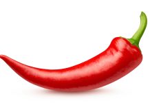 Philologen: Viele Gymnasiallehrer fordern schärfere Handyregeln an Schulen