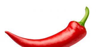 Philologen: Viele Gymnasiallehrer fordern schärfere Handyregeln an Schulen