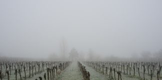 “Grausamste Horrorvorstellung aller Eltern”: Vater des Opfers von Edenkoben berichtet