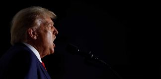 Podcast: Warum Demokratie ohne Bildung an ihre Grenzen stößt (und was die Politik dagegen tun könnte)