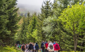 Klassenfahrten: „Lehrkräfte stehen natürlich nicht mit einem Bein im Gefängnis“