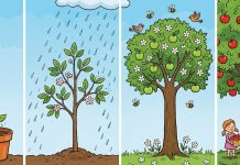 “Milliarden an zusätzlichem Wohlstand – wenn mehr junge Menschen besser lesen, schreiben und rechnen könnten“