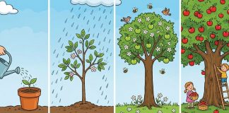 “Milliarden an zusätzlichem Wohlstand – wenn mehr junge Menschen besser lesen, schreiben und rechnen könnten“