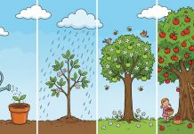 “Milliarden an zusätzlichem Wohlstand – wenn mehr junge Menschen besser lesen, schreiben und rechnen könnten“