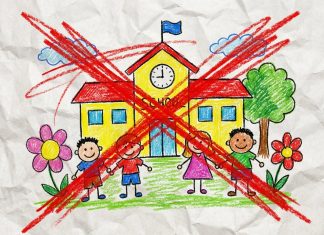 AfD: Nach Regierungsübernahme in Sachsen-Anhalt die geltende Schulpflicht abschaffen