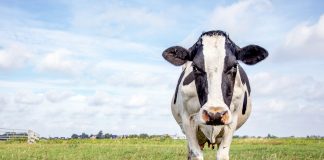 Angehende Lehrkräfte: Mit Prämie aufs Land gelockt und dann plötzlich gestrichen?