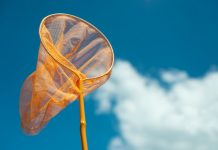 Lehrermangel: GEW verlangt Einstellungsoffensive für Schulhilfskräfte