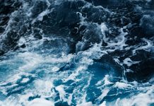 Experten befürchten Schub für Corona-Welle durch weitere Omikron-Sublinien