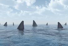 „Permanenter Krisenzustand“: Studie von Katastrophen-Forschern zeigt auf, wie anfällig das Schulsystem ist