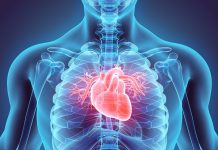 “Herzkammer für Bildung”: Landesinstitut soll Lehrkräften Komplettangebot liefern