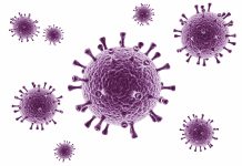 Bereits 7.000 Berliner Schüler akut infiziert! Eltern fordern Aufhebung der Präsenzpflicht