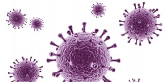 Bereits 7.000 Berliner Schüler akut infiziert! Eltern fordern Aufhebung der Präsenzpflicht