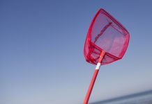 VNL: Über ein Drittel der ausgeschriebenen Lehrer-Stellen sind noch vakant