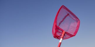 VNL: Über ein Drittel der ausgeschriebenen Lehrer-Stellen sind noch vakant