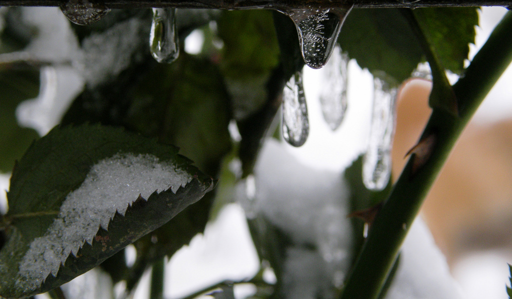Das Winterwetter in Niederdachsen lies es plausibel erscheinen, das die Schule geschlossen bleibe. Foto: Manu /flickr (CC BY-SA 2.0)